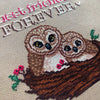 Closeup of owls cross stitch pattern. Nest consists of different shades of brown, signifying the branches. There are a few green leaves and red berries sticking out. Due to the size difference of the owls, one looks like a guardian or mother.